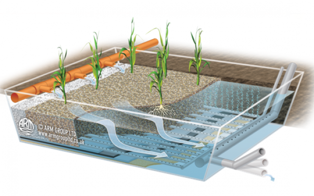 Aerated Reedbed diagram